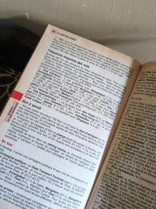 Inde du Nord - Guide Routard 2004