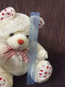 White Teddy Soft Toy