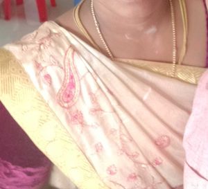 Sandle Color Saree With Pink Embroidery Mundhani.