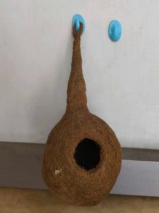 Hanging Bird Nest