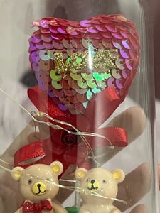 Teddy Bear Dome Light Decor