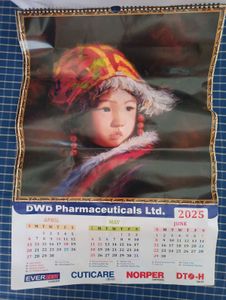 Brand New 2025 Calendar