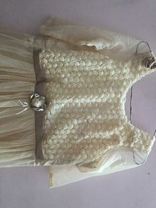 A Cream Coloured ,Net Material Gown