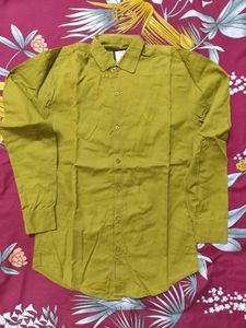 Olive Green Casual Shirt