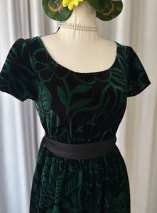 Korean Velvet Dress