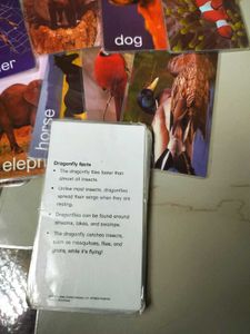 Einstein Cards From the US