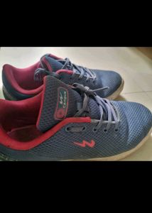 Campus Sport Shoes