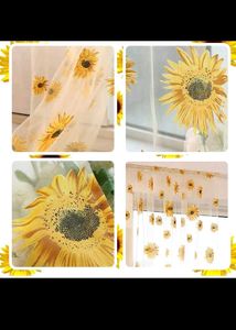 7 Curtains Beautiful Organza Sheer