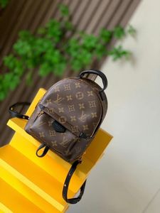 ask before- Louis Vuitton Mini Backpack