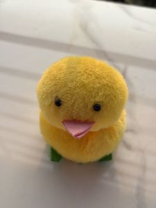 Soft Toy
