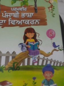 Punjabi Grammar Book