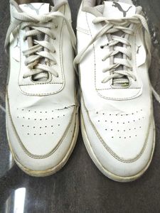 OG Epic Puma Shoe