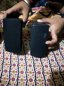 Intex Speaker Working But Body Damaged