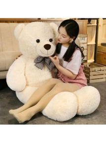 Cute White Teddy Bear