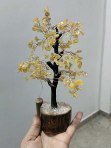 Tree Lam Show Piece