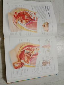 Visual Dictionary