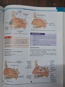 Anatomy &amp; Physiology Workbook