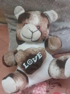 Teddy Bear With Love 💕