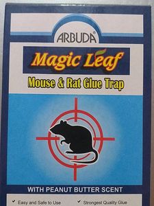 Mouse &amp; Rat Glue Trap