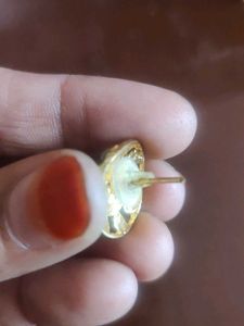 Elegant Gold Tone Stud Earrings