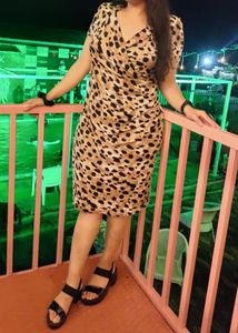 Animal Print Bodycon Dress