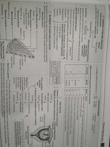 NCERT Mind Maps for 2026 NEET Bio+Phy+Chem