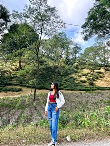 Trendy Feminine Women Jeans ❤️