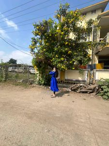Blue Frock