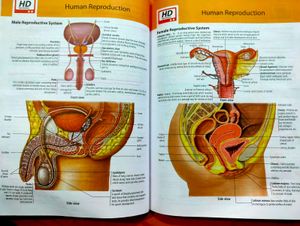 MTG Ncert Fingertips Book For Neet Preparation