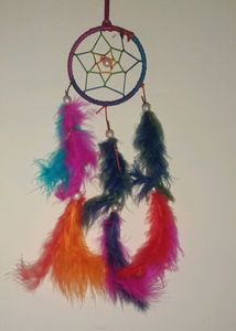 Dream Catcher/Wall Hanging/Decoration