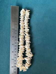 Sea Shell Necklace