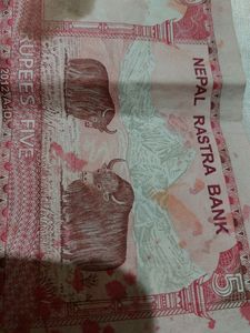 Original Nepal 5 Rupee Note - Nepal Rashtra Bank
