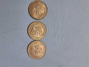 Indira Gandhi Coins