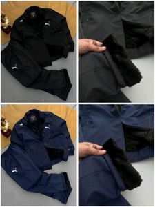 Lacoste Hoodies - Stylish Comfort