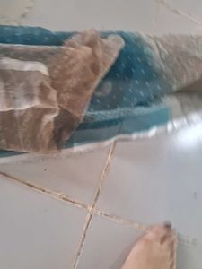 Dupatta Combo 3