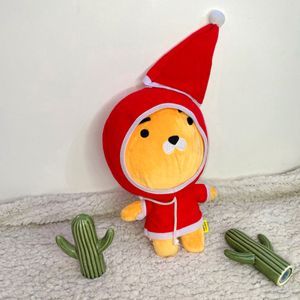 Hooded Ryan Korea