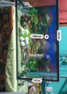 Aquarium With All Accessories