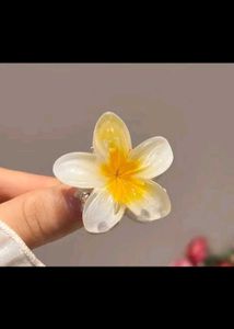 Cute Gift Box