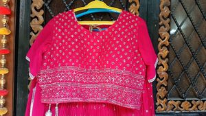 Red Embroidered Lehenga Skirt