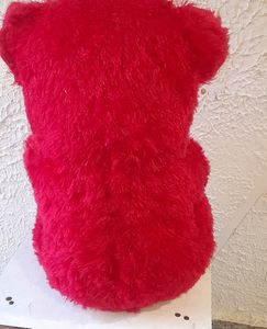 Red Teddy