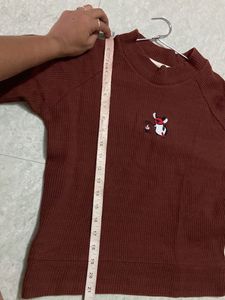 Brown Sweater T Shirt For Women