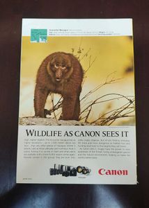 Nat Geo Magazine: September 2018 &#39;London Rising&#39;