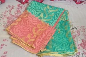 Elegant Saree - Mint & Peach