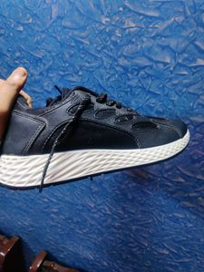 Black Shoe ZUDIO 41