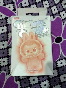 pop mart Labubu🎀💗