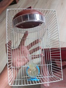 Hamster Cage