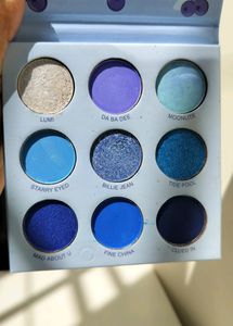 Sfr Color Blueberry Eyeshadow Palette