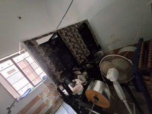 Pattal Dona Manufacturing Machine