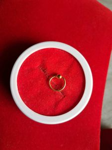 beautiful new nosering gold