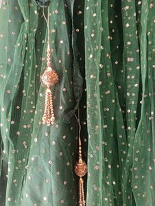 Green Embellished Lehenga Choli